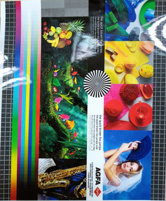 Καλή τιμή. Διάστημα 200-4000m Φόρμα συσκευασίας PET EVA 22 miu Ματ/Λάμψη φωτεινότητα για ανώτερη απόδοση συσκευασίας σε απευθείας σύνδεση